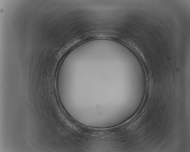 X0000086780721200704130828