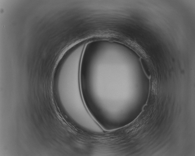 X0000086780724200704130828
