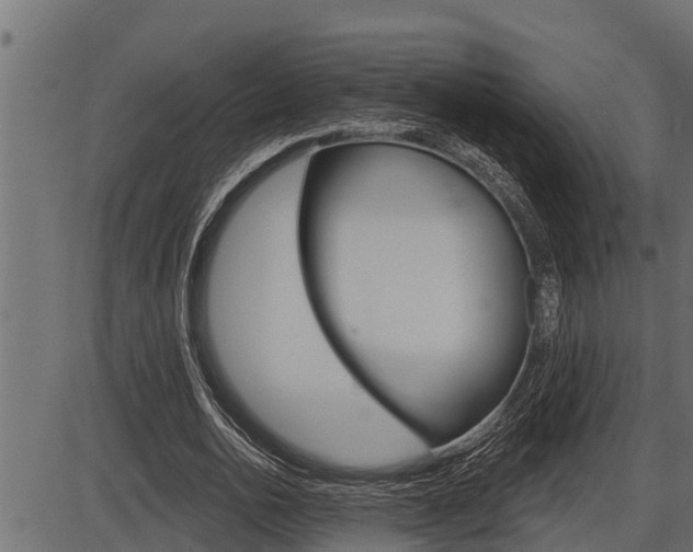 X0000086780726200704130828