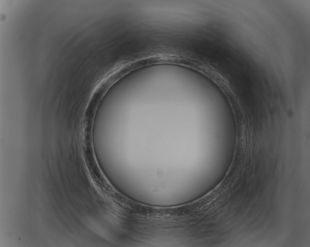 X0000086780730200704130828