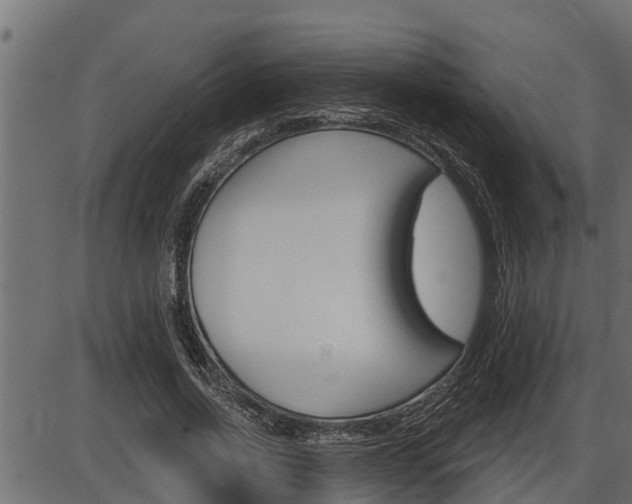 X0000086780734200704130828