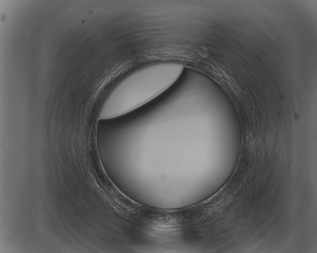 X0000086780735200704130828