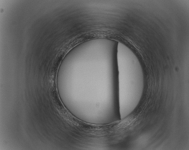 X0000086780737200704130828