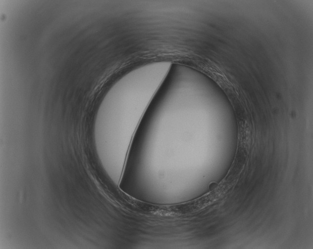 X0000086780742200704130828