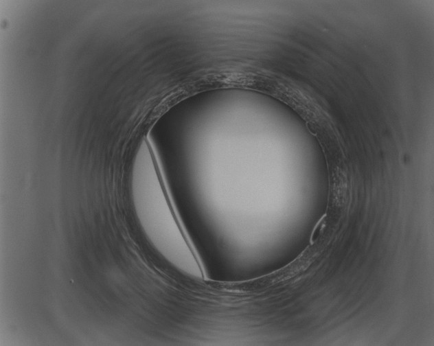 X0000086780748200704130828