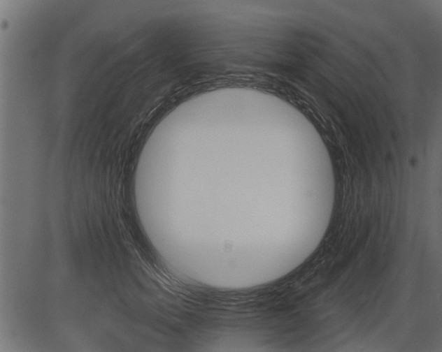 X0000086780750200704130828
