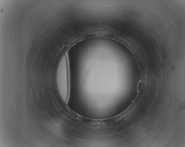 X0000086780752200704130828