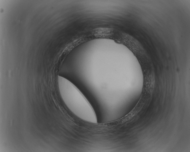 X0000086780755200704130828