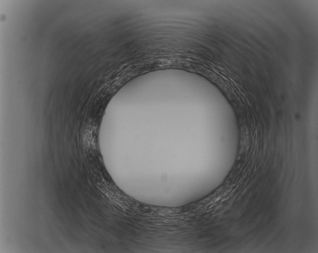 X0000086780770200704130828