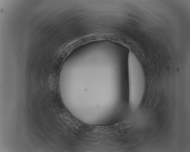 X0000086780773200704130828