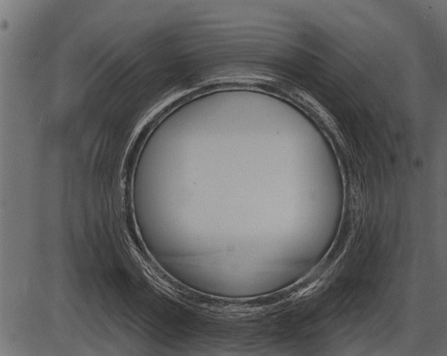X0000086780779200704130828