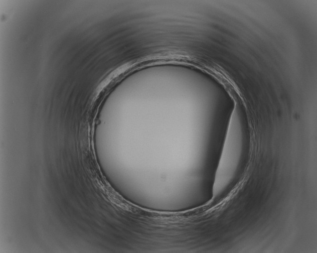 X0000086780781200704130828