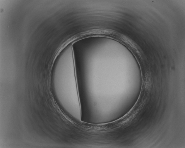 X0000086780786200704130828