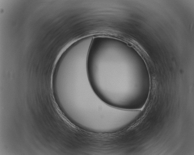 X0000086780788200704130828