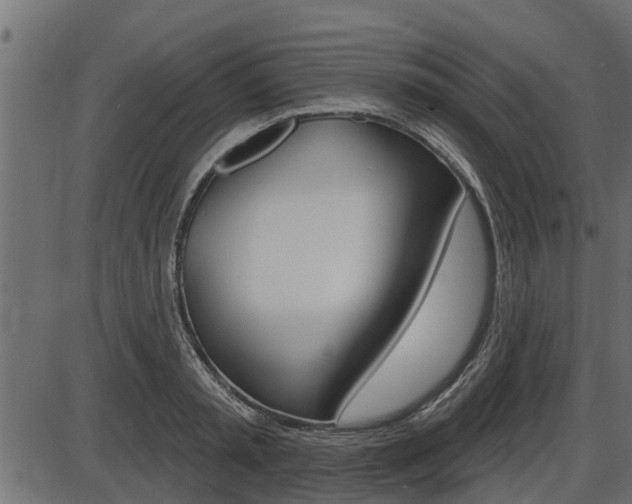 X0000086780797200704130827