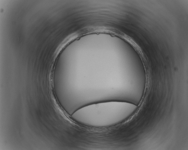 X0000086780806200704130827