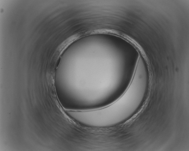 X0000086780809200704130827