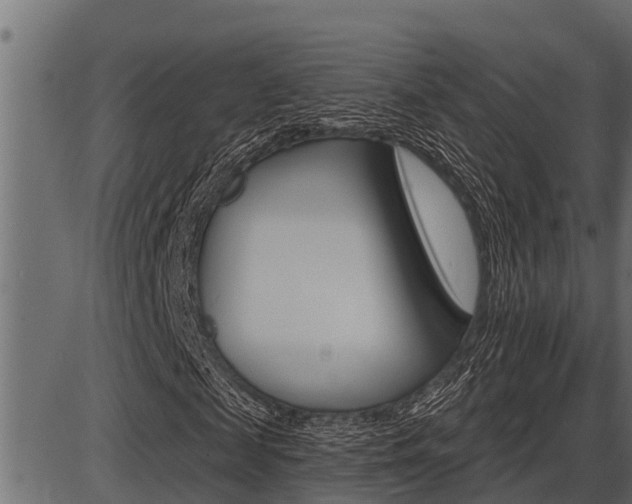 X0000086780817200704130826
