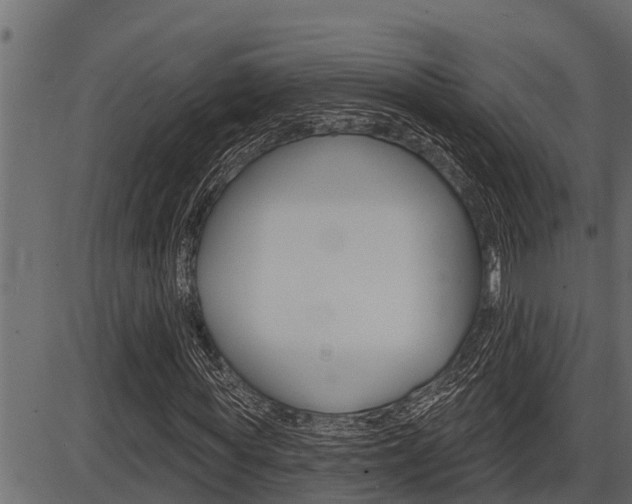 X0000086780819200704130826