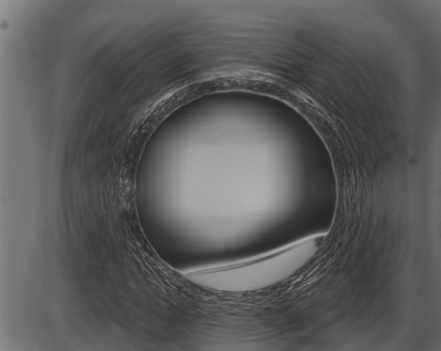 X0000086780822200704130826
