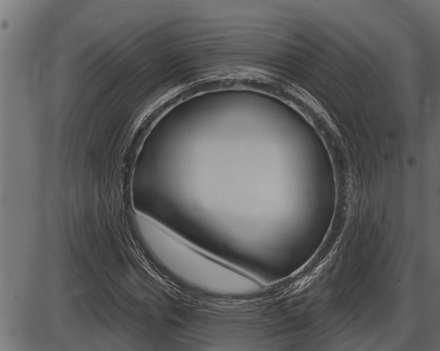X0000086780826200704130826