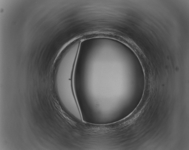 X0000086780830200704130827