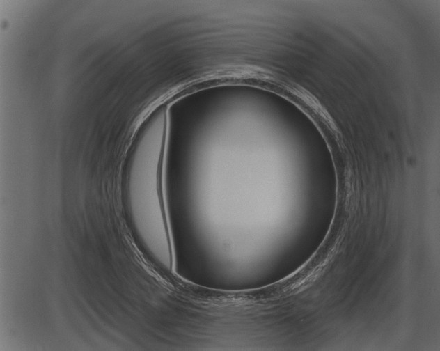X0000086780834200704130827