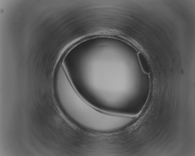 X0000086780838200704130827
