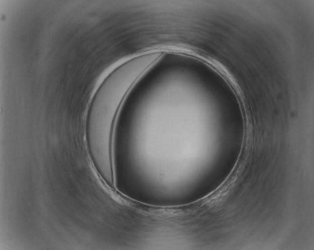 X0000086780862200704130827
