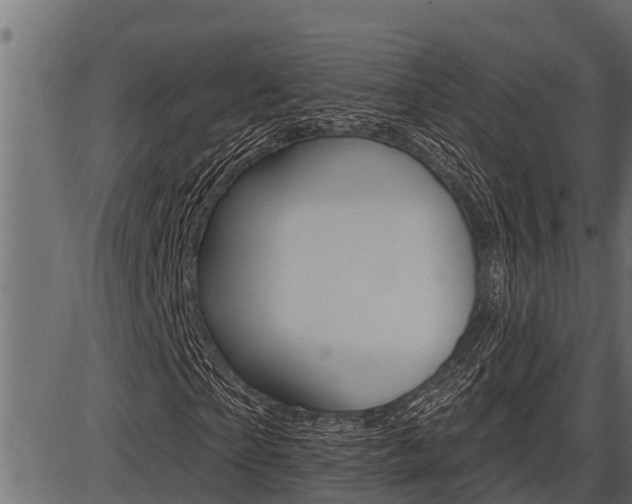 X0000086780865200704130826