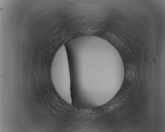 X0000086780866200704130826