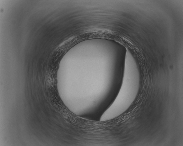 X0000086780869200704130826