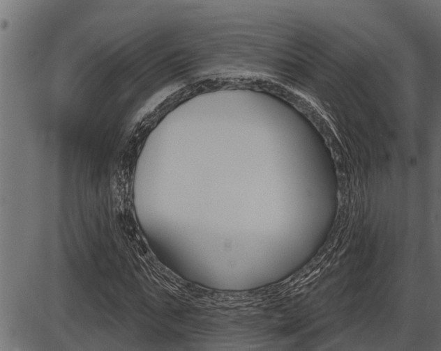 X0000086780871200704130826