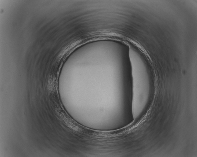X0000086780873200704130826