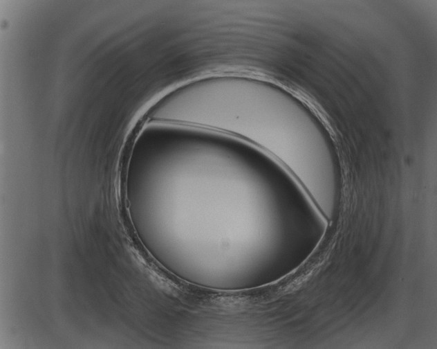 X0000086780888200704130826