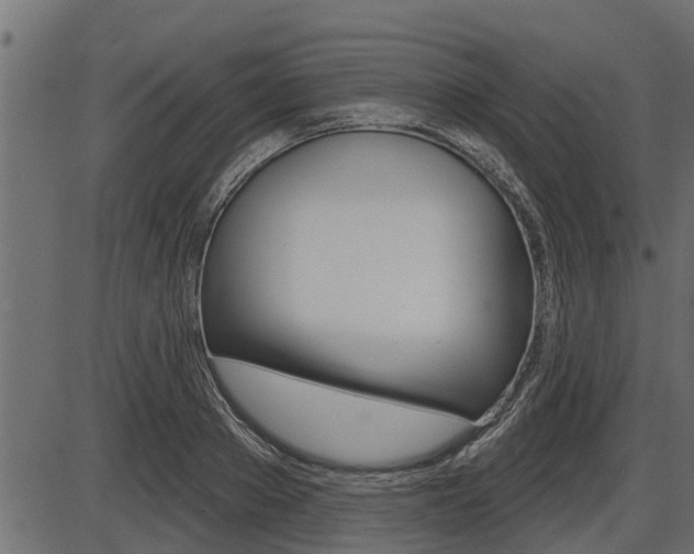 X0000086780889200704130826