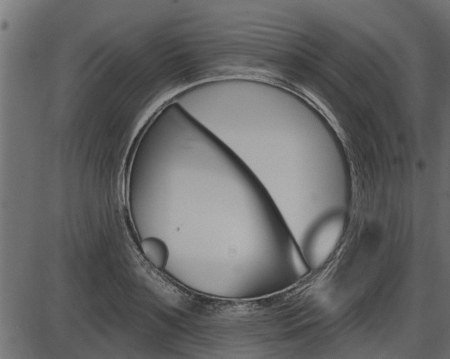 X0000086780891200704130826
