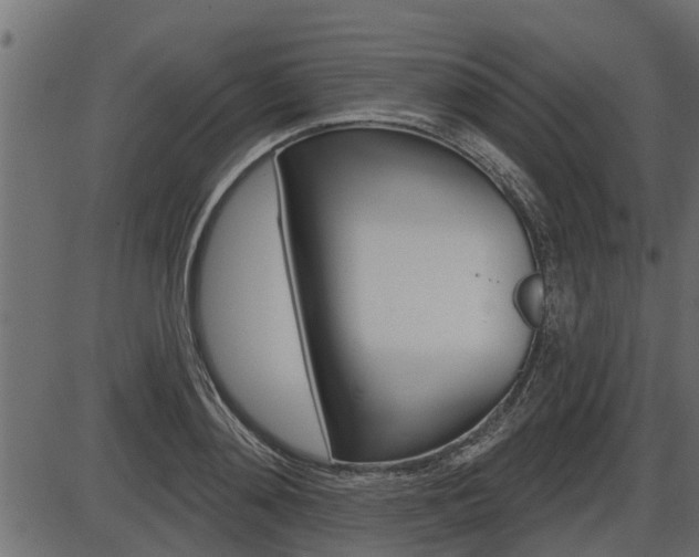 X0000086780892200704130826