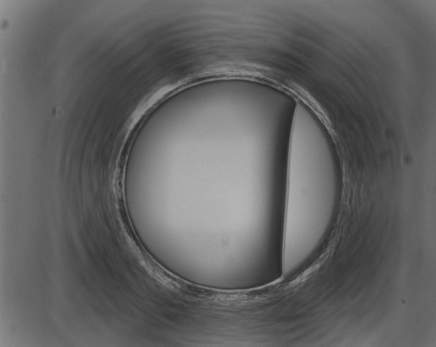 X0000086780893200704130826