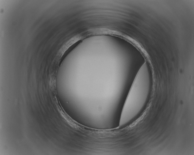 X0000086780897200704130826
