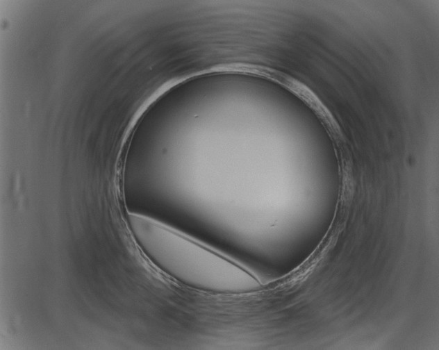 X0000086780908200704130826