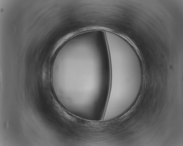 X0000086780910200704130826