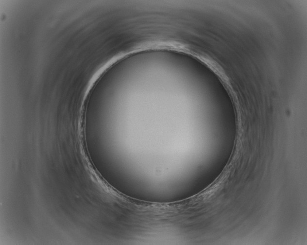 X0000086780912200704130826