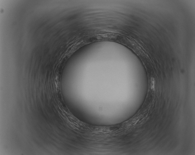 X0000086780915200704130825