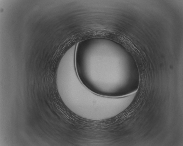 X0000086780916200704130825
