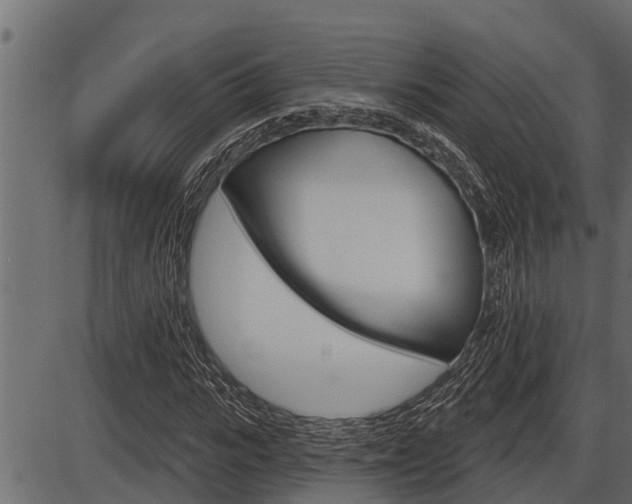 X0000086780919200704130825