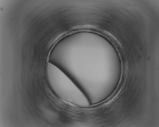 X0000086780921200704130825