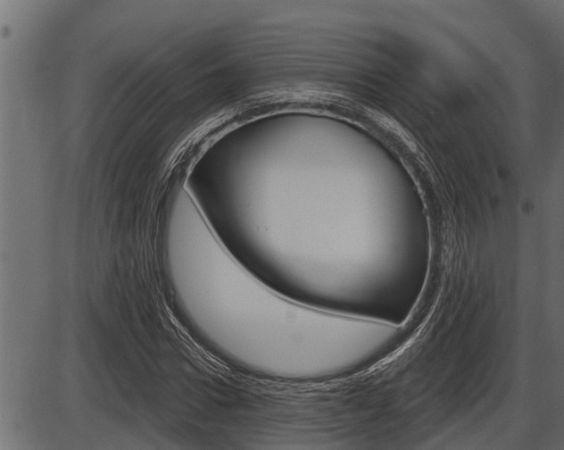 X0000086780922200704130825