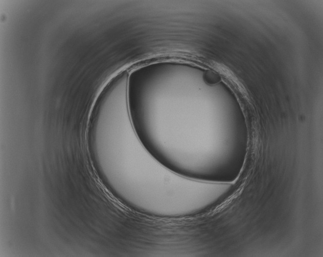 X0000086780924200704130825