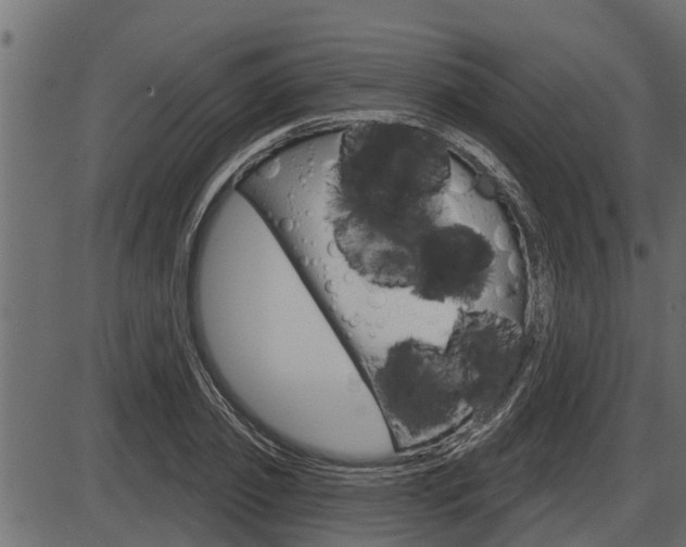 X0000086780933200704130825